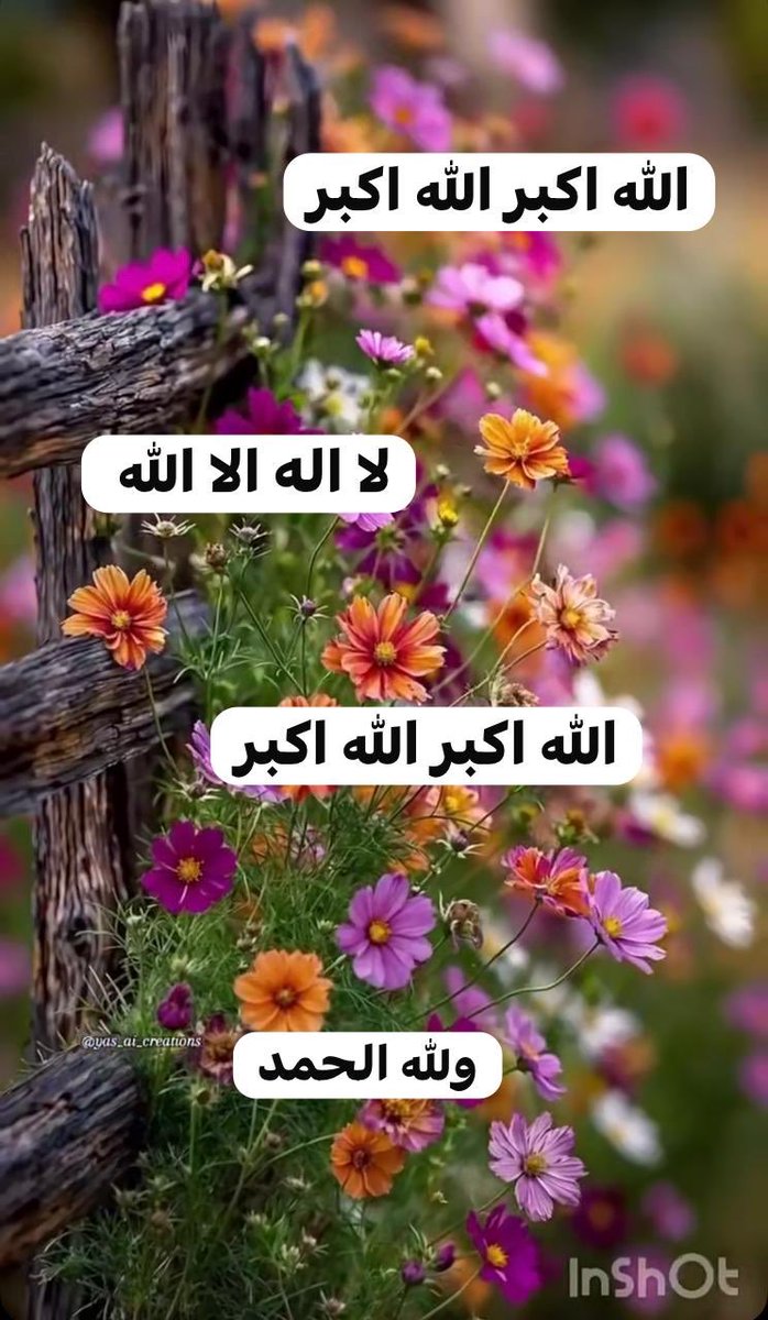 ام محمد tweet media