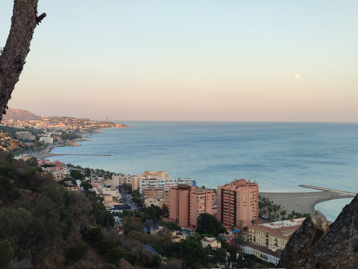 Orgullosos de Málaga tweet media