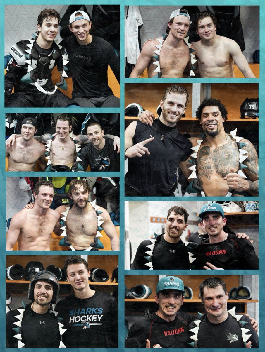 San Jose Sharks Source tweet media