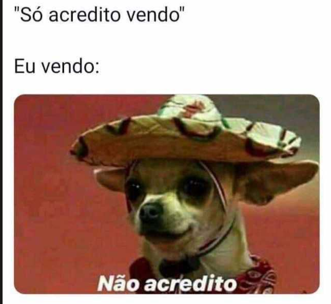 Dudu Penna tweet media