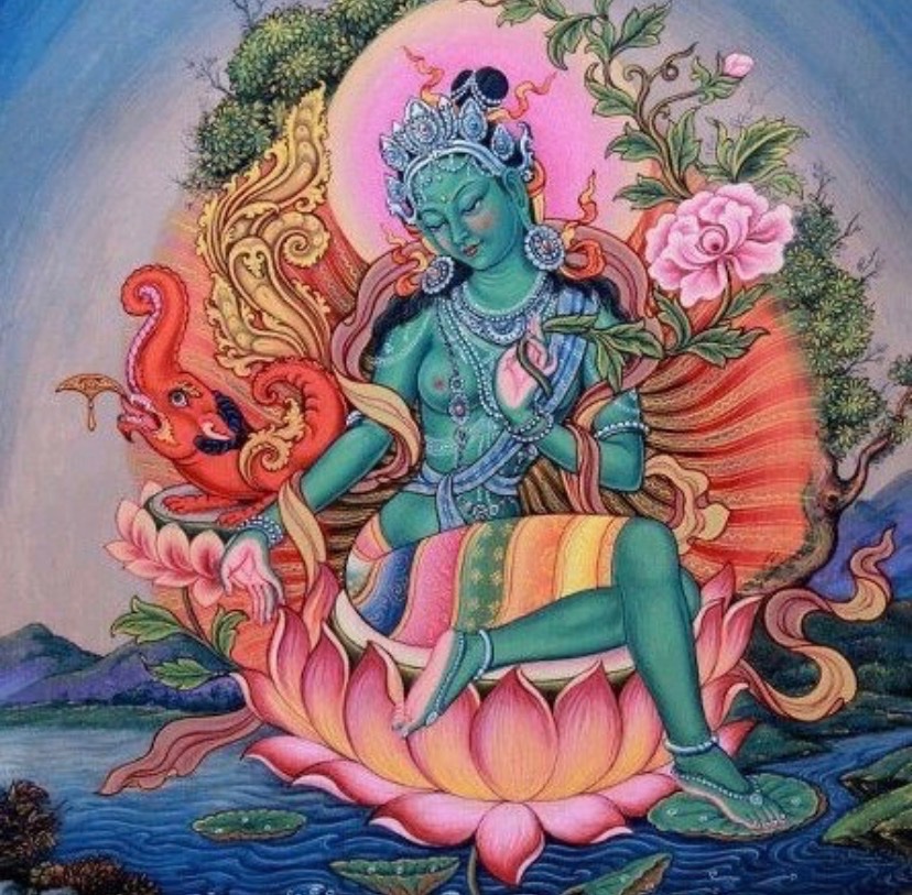 siddhi devī🌹 tweet media