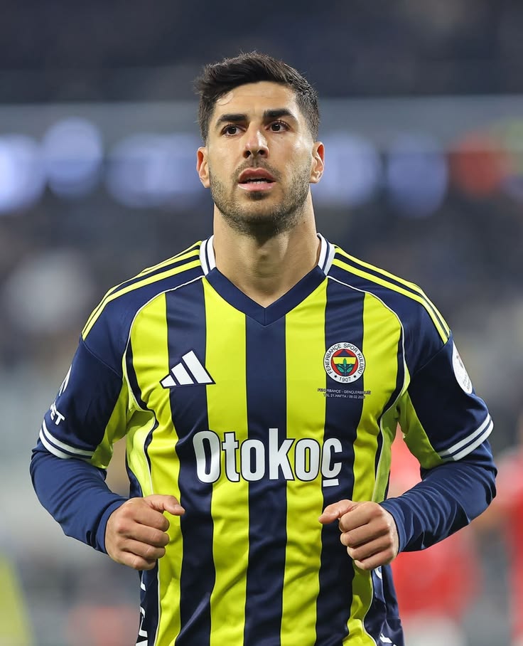 Musa tweet media