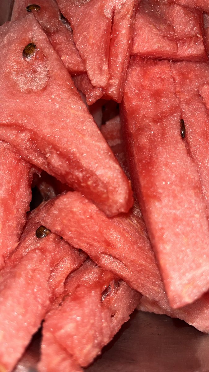 фарах🍉 tweet media