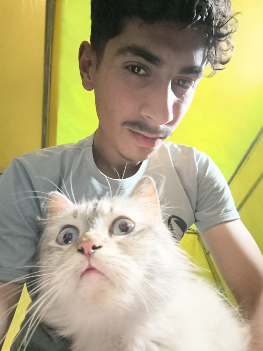 laalmsr95993669's tweet photo. My friends… I’m writing this while my heart is breaking in front of my eyes 💔
My cat “Simba” is pregnant and very close to giving birth, but she is in an extremely critical condition… For hours now, she hasn’t been able to eat anything at all, and even drinking water has become painful and difficult for her 😔
I rushed her to the vet, and after examining her, he told me she urgently needs a special injection before giving birth, or both her life and the lives of her babies could be in serious danger… But the cost of this injection is $270, and I honestly cannot afford it because of the devastating conditions we are living through in Gaza…
I watch her suffer in front of me every moment, looking at me as if she’s begging me to save her, while I feel completely helpless 💔 I swear I can no longer sleep from fear and worry about losing her…
In Gaza, even animals are no longer able to receive the care they deserve because treatment has become unbearably expensive and almost impossible to find 😢
Please… don’t leave Simba to suffer alone Any small donation, no matter how little, could help save her life and the lives of her babies 🙏
And if you can’t donate, please don’t ignore this message… Share this post, leave a comment, or even just a dot, because it helps the post reach more people and could truly save her life 🤍
You are our hope after God… please don’t let Simba down 💔🙏👇🏻
https://t.co/WwNfHWRNpY