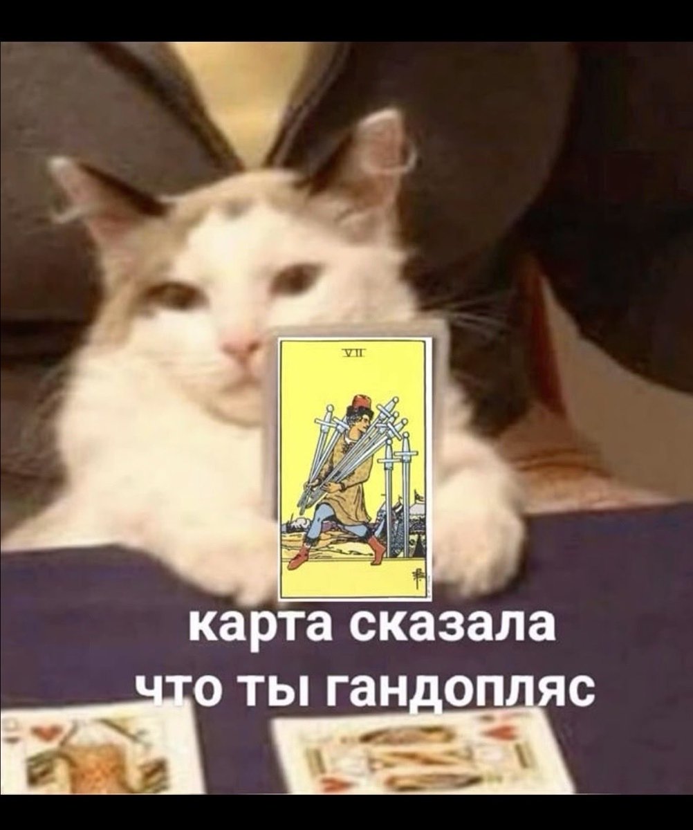 yanayes tweet media