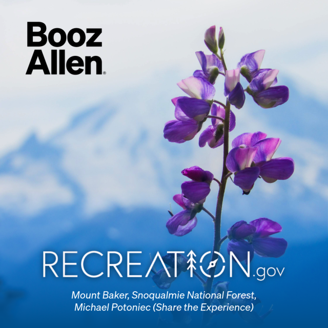 jnavaroli's tweet photo. https://t.co/uShgJkth2H, built and powered by #BoozAllen, connects millions to public lands—integrating agency data and enabling real-time bookings at scale. Designed to stay fast and reliable, even at peak demand. Start exploring: https://t.co/bIevGPwXtw https://t.co/r3uC0QoqGN