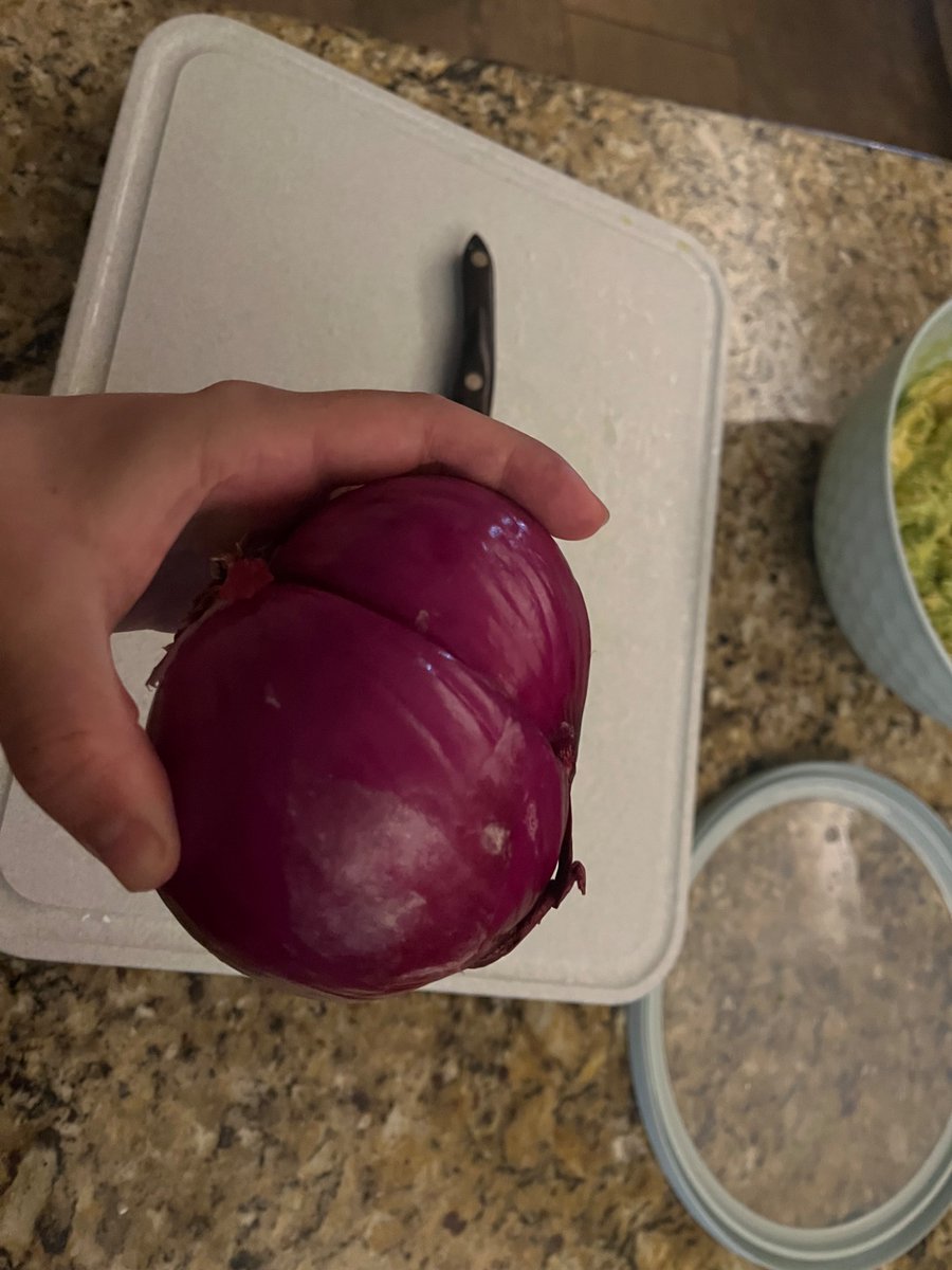 maniamoth's tweet photo. funny onion https://t.co/zi354CWTdm