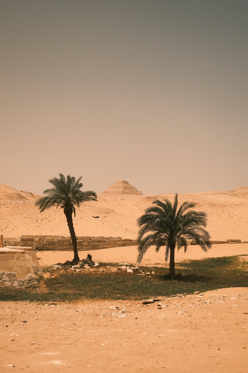 FujifilmX_US's tweet photo. POV: You’re exploring Egypt with your FUJIFILM X100VI 📷 @giulio_meliani https://t.co/fxtYkmJ9KU