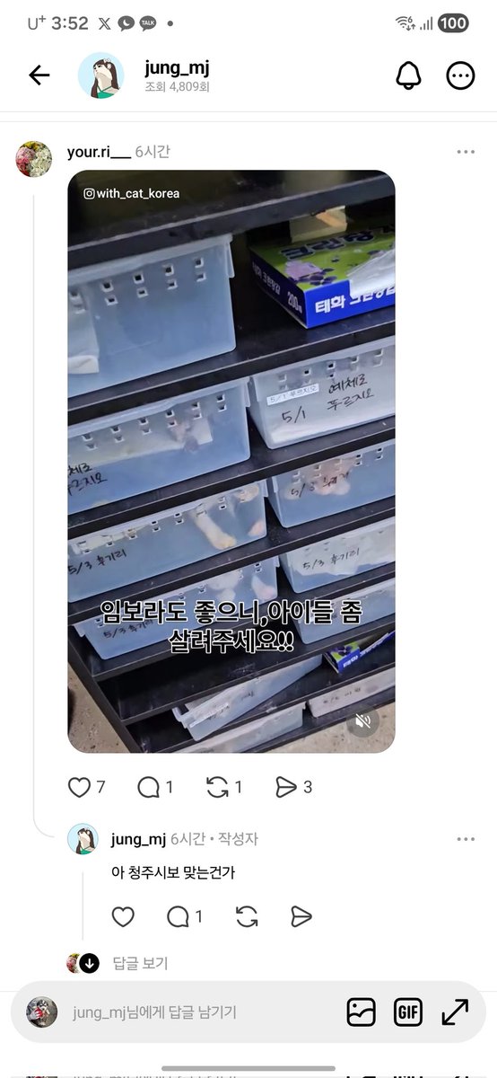 간헐적 짭스키 🐶르웬 🍼 tweet media