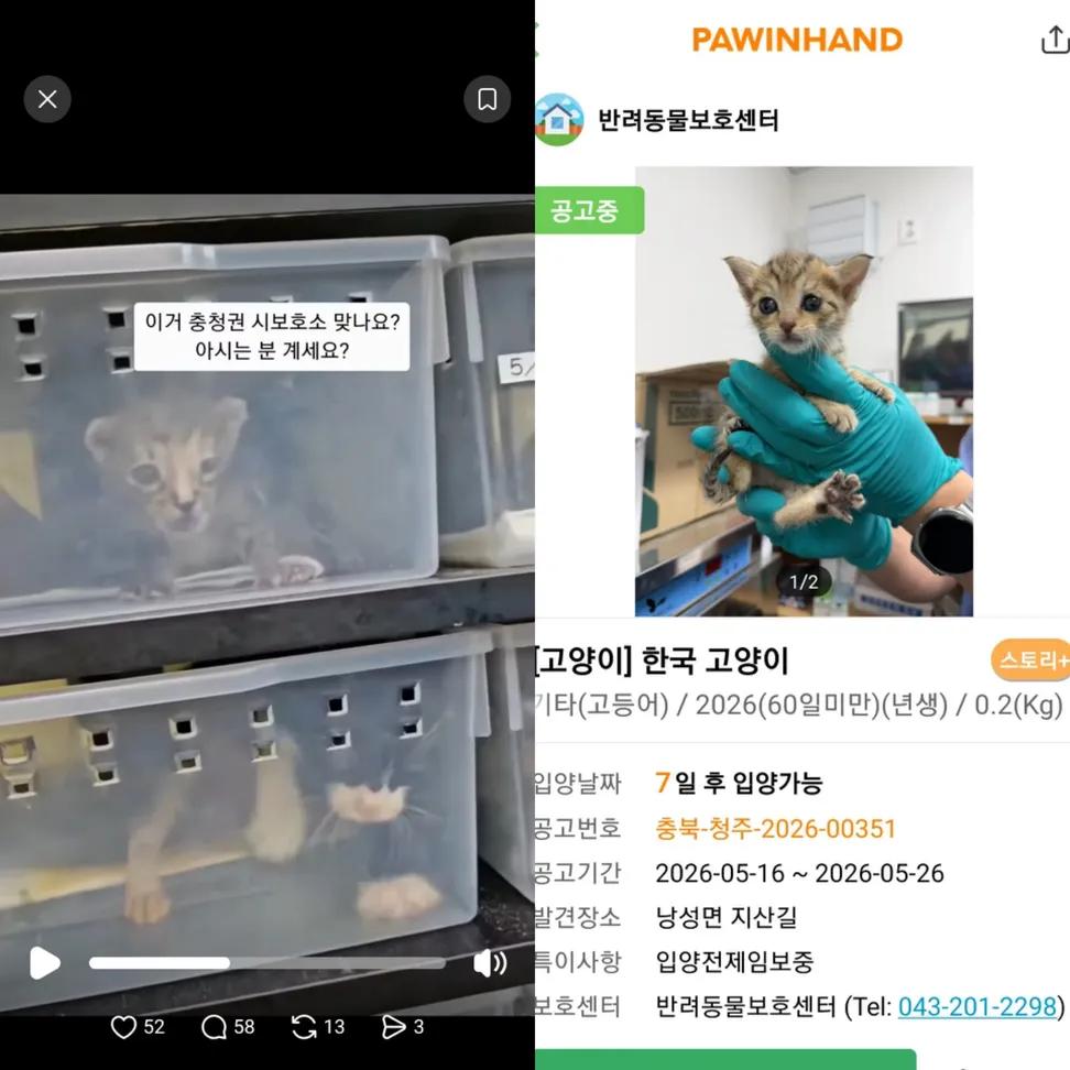 간헐적 짭스키 🐶르웬 🍼 tweet media