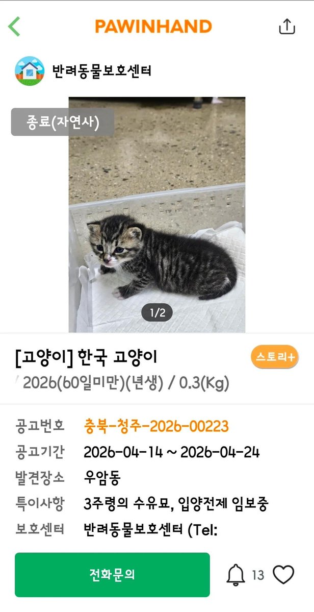 간헐적 짭스키 🐶르웬 🍼 tweet media