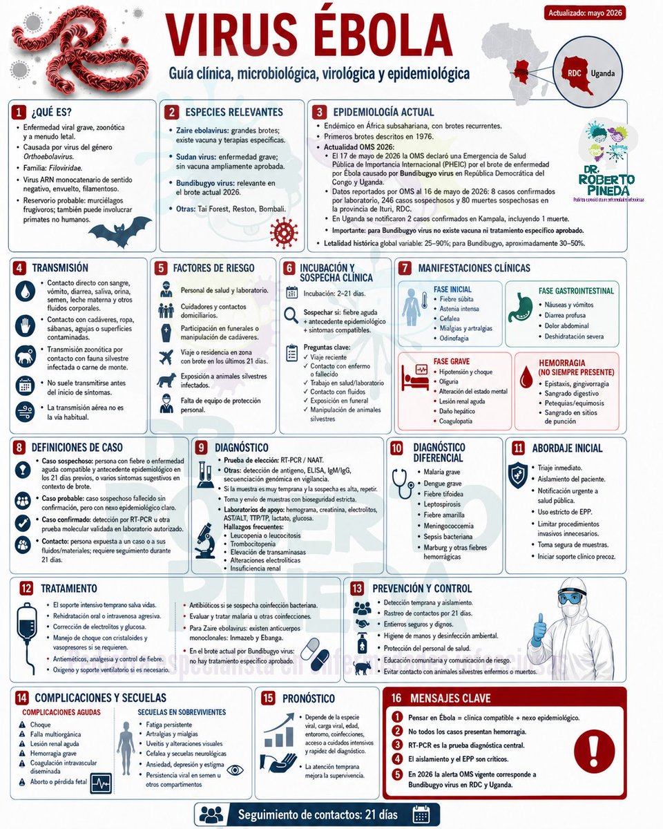 robertcpg's tweet photo. Ébola no es solo una enfermedad grave; es un desafío para la vigilancia epidemiológica, la bioseguridad y la respuesta rápida de los sistemas de salud.

La OMS declaró una emergencia internacional por el brote de Ébola por Bundibugyo virus en RDC y Uganda. https://t.co/nkwDllKM75