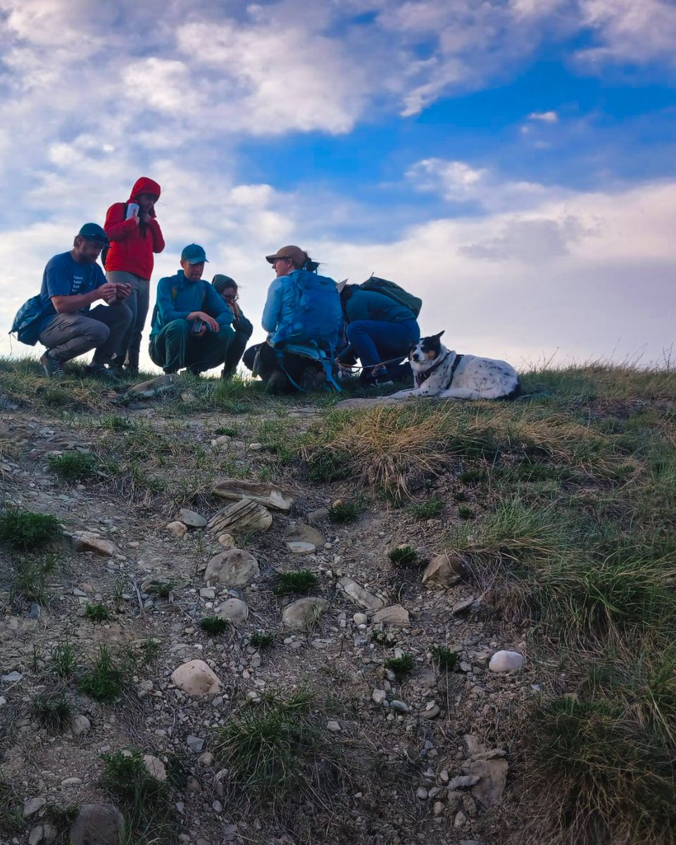 savenosecreek's tweet photo. Last week botany enthusiasts adventured in the Nose Creek Valley. What do they know that you don't know? Well find out this weekend at Discovery Day! 

All the details at https://t.co/vuwGkokYOV

Photo Credit: Justin Poon https://t.co/O7QDZHWciW