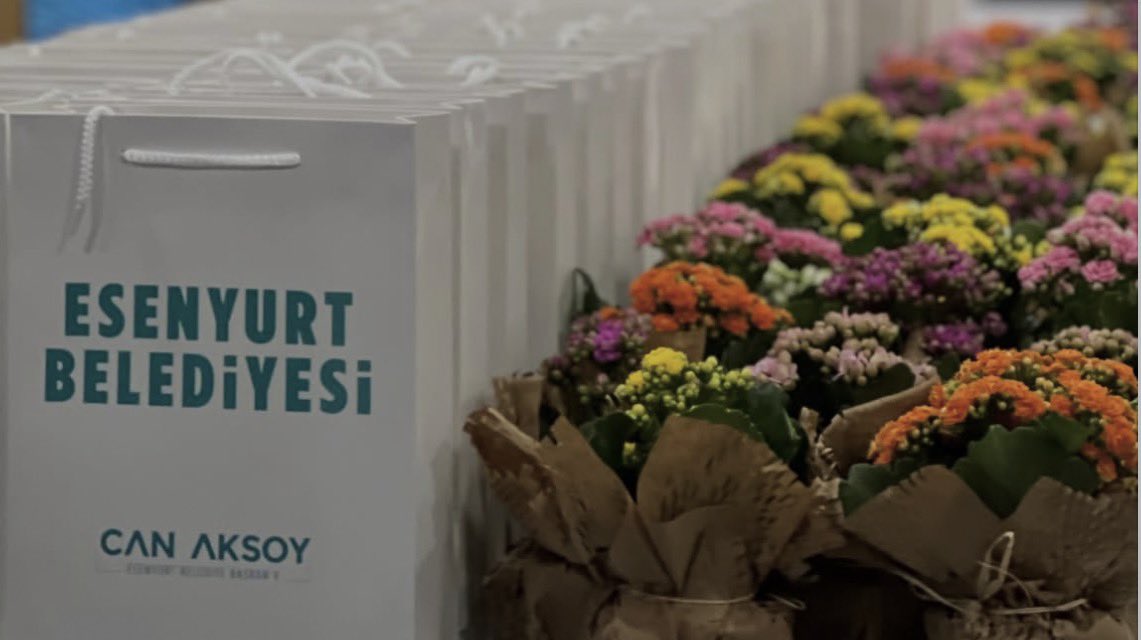 Yeşil Aytulum🇹🇷 tweet media