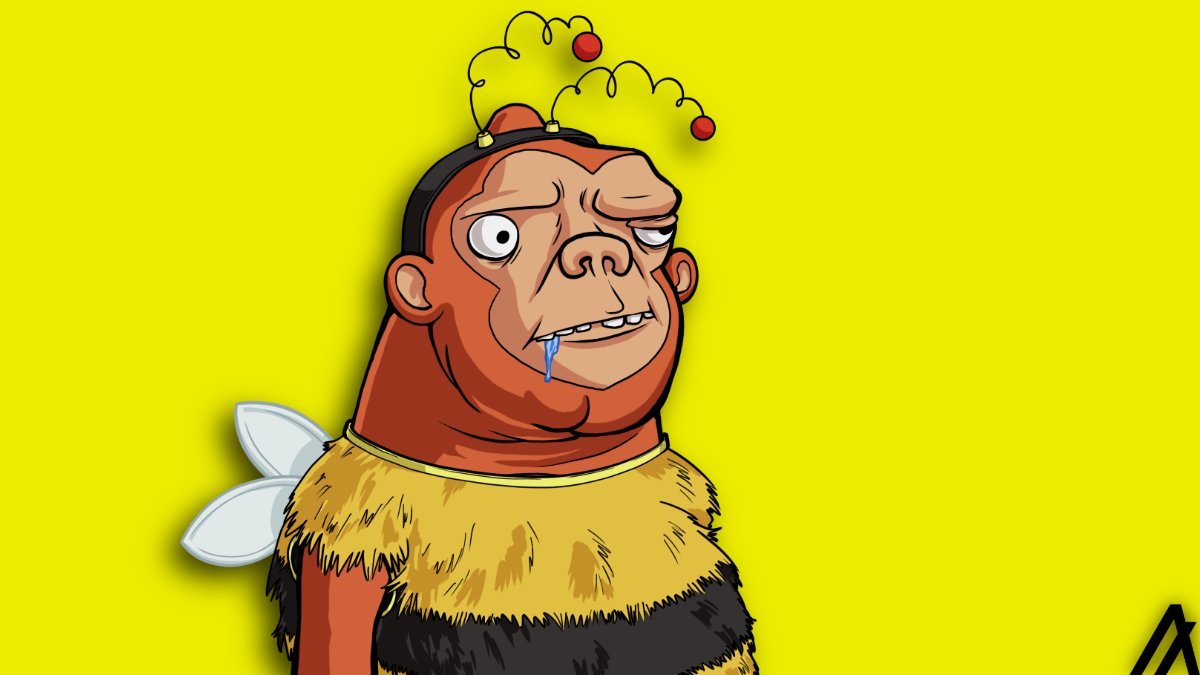 monko 🐝 tweet media