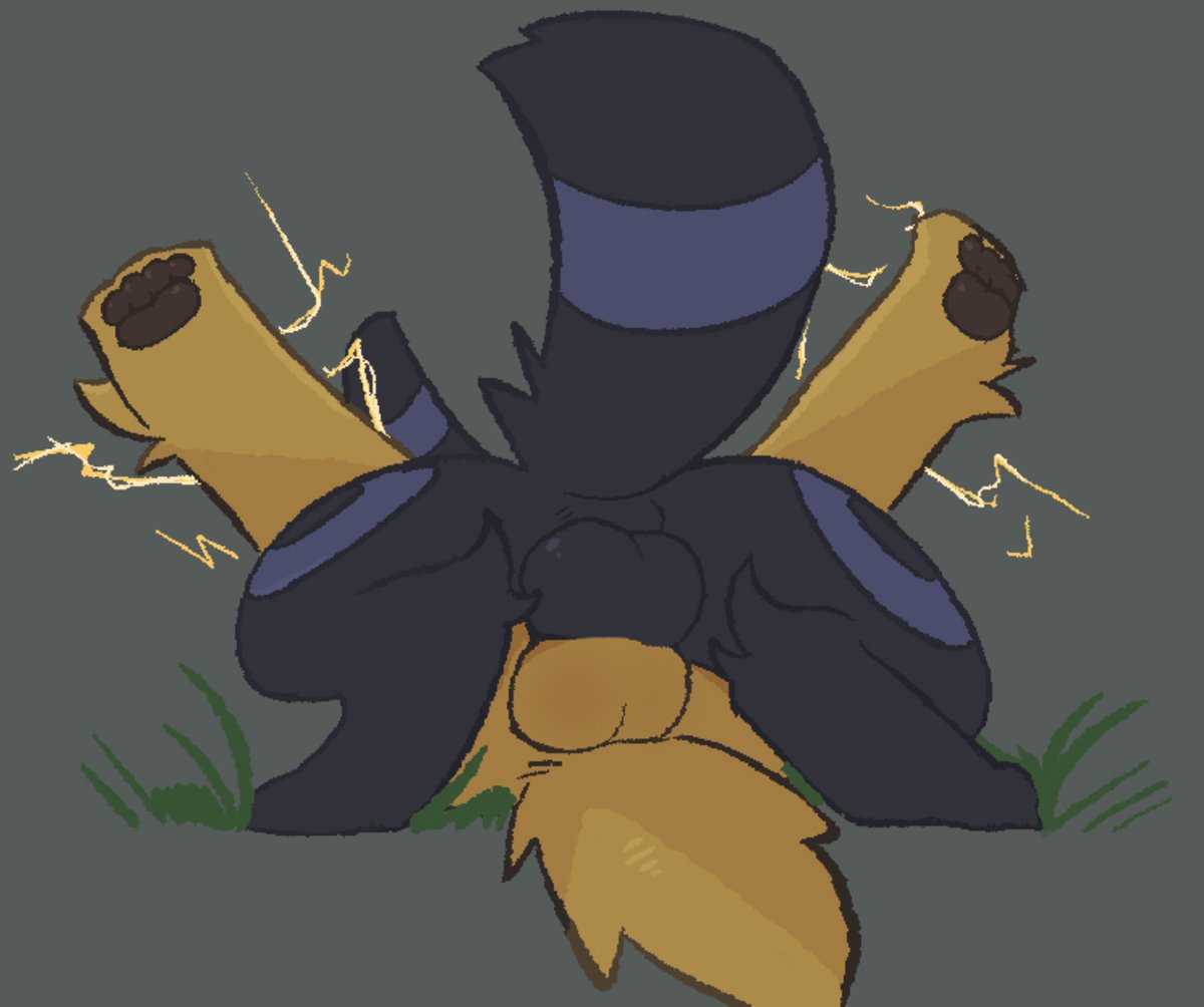 dragonbooper tweet media