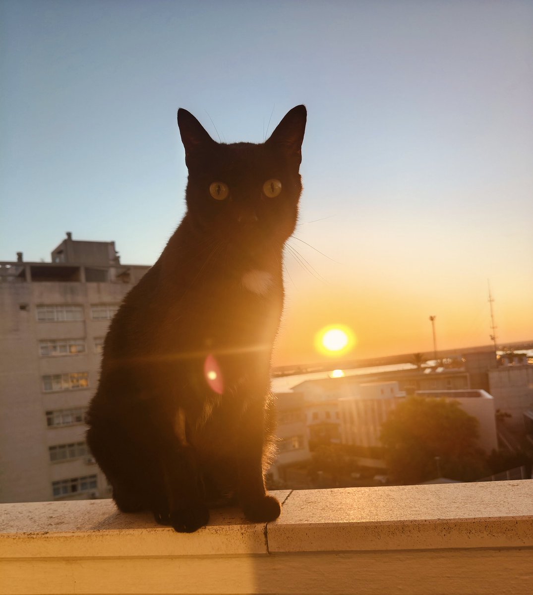 Aloysius_XL's tweet photo. Comienza la temporada puestas de sol... #desdemibalcon https://t.co/9rsgMajHo3