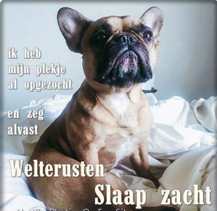 🌞Henk🏖 tweet media