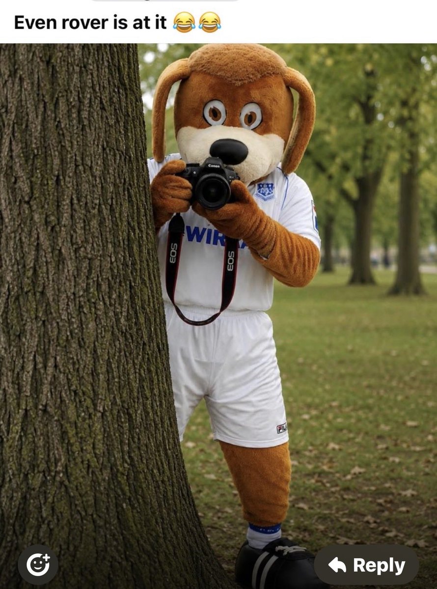Rover the Dog | Tranmere Rovers Football Club tweet media