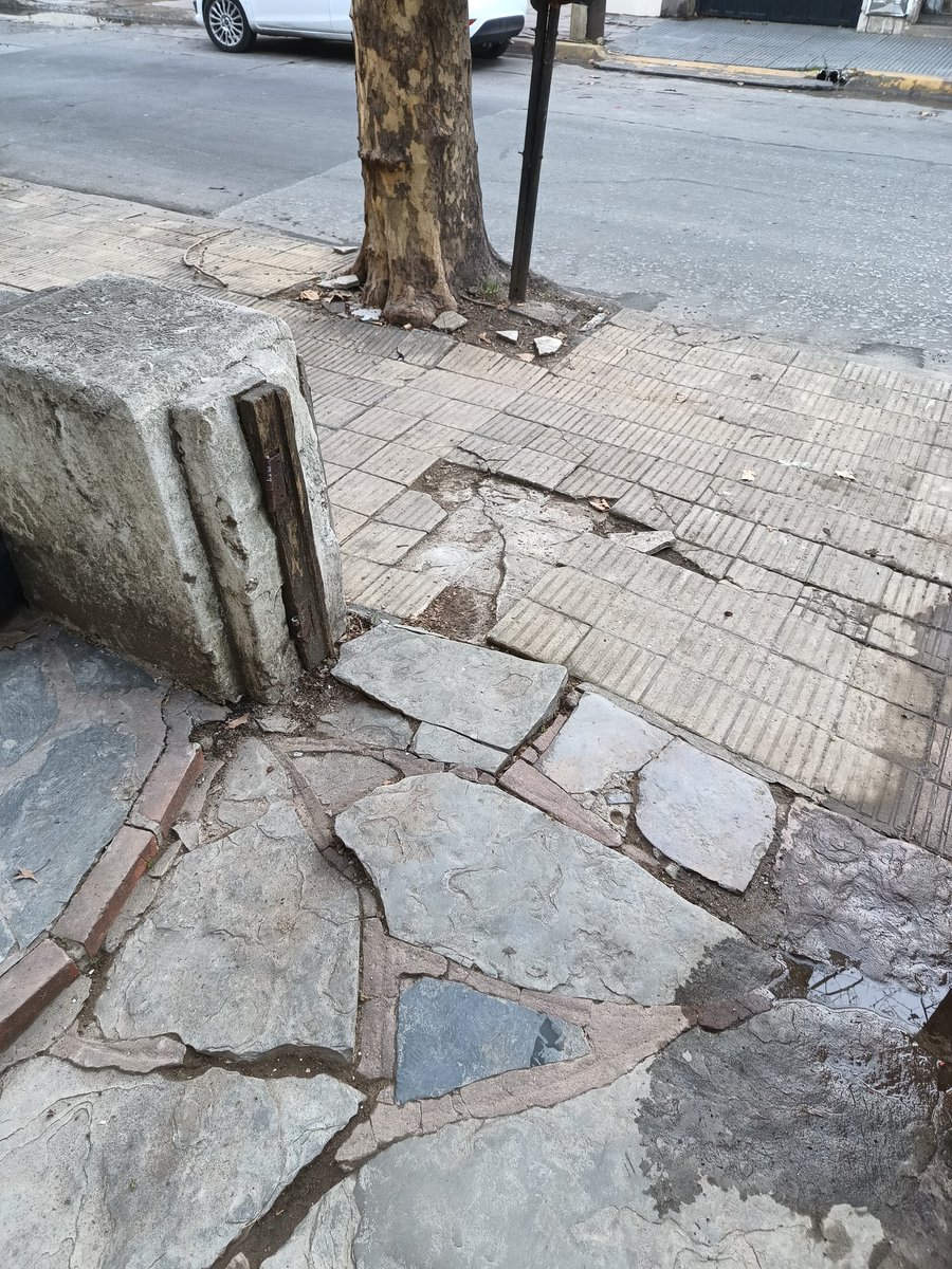 Jc_gutierrez4's tweet photo. @SanFerMunicipio @andreottijuan más de dos años de reclamos para corte de raíz persona de 80 años accidentada, ingreso a casa con perdonas adultas mayores y ninguna respuesta. Ayer poda de arboles y rotura de tejas también tengo que reclamar y esperar? Insolito https://t.co/NU8jB7LAnA