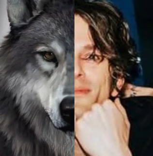 søfi ↯!🐏 (@killjoylanegirl) / Posts / X