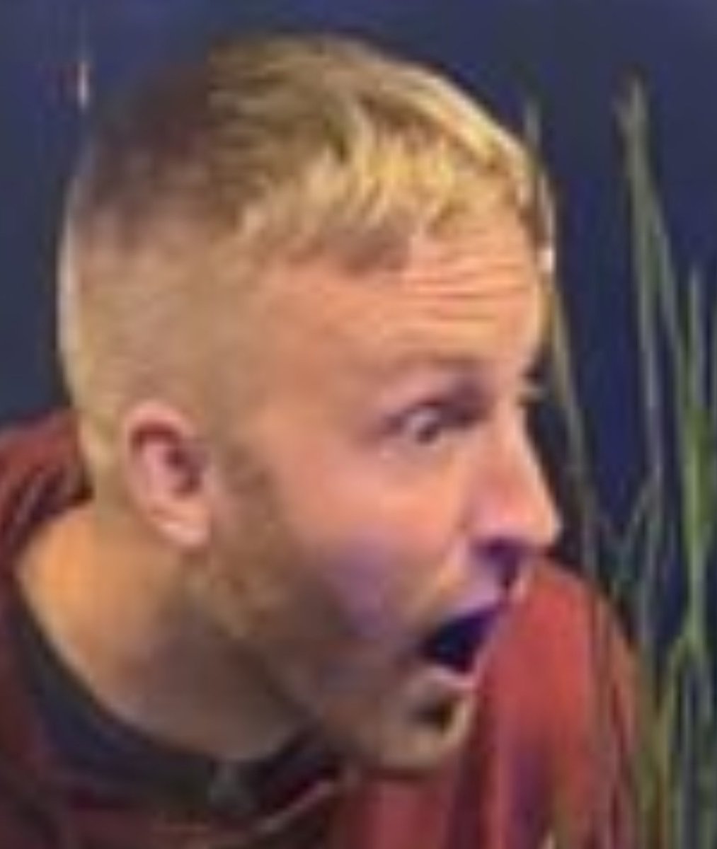 HowlingDoomSlayer tweet media