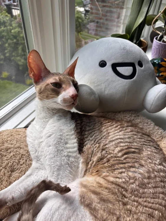 strwbaerii's tweet photo. UEE😭🥺💧Eu💧💧E E😭😭 E EUE🥺🥺😭UUUUE😭🥺💧🥺😭 ue 💧ee😭🥺💧ue 🥺e e e😭 💧🥺😭Uueuuue.💧ue 😭🥺ee e🥺🥺😭eUEE 💧🥺💧EEE 💧💧😭😭EE H💧🥺😭E EUU💧🥺😭UUEHH🥺😭EUEH🥺 😭💧💧ue e😭😭eeeeee💧💧💧uu🥺😭 hh 😭🥺uUEEE🥺😭😭 UEE😭🥺💧Eu💧💧E E😭😭 E EUE🥺🥺😭 UEE😭🥺💧Eu💧💧E E😭 https://t.co/f8pCH6m2VF