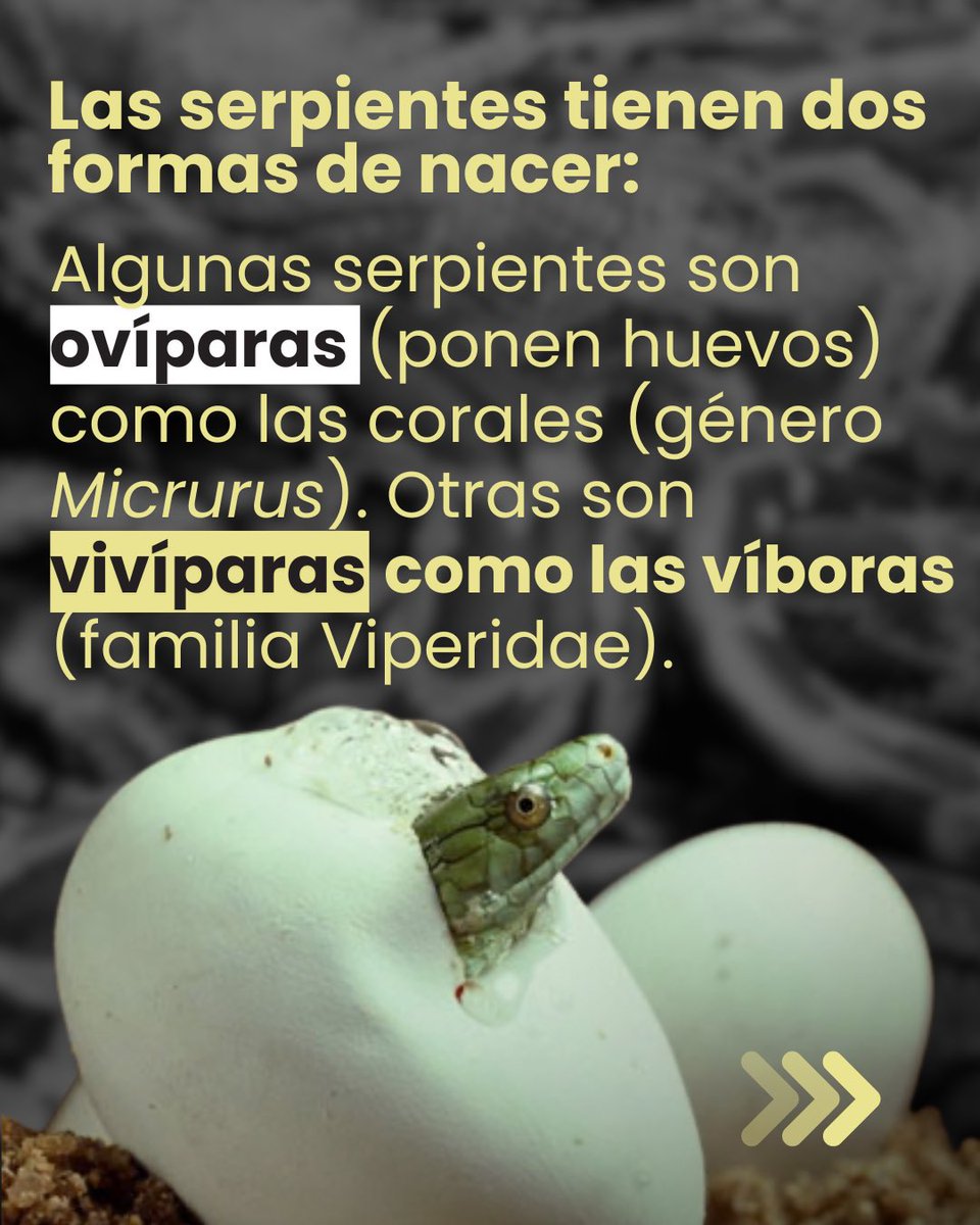 Instituto Nacional de Salud🇨🇴 tweet media