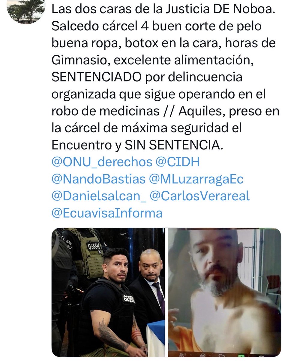 ☀️ Sol Angel tweet media