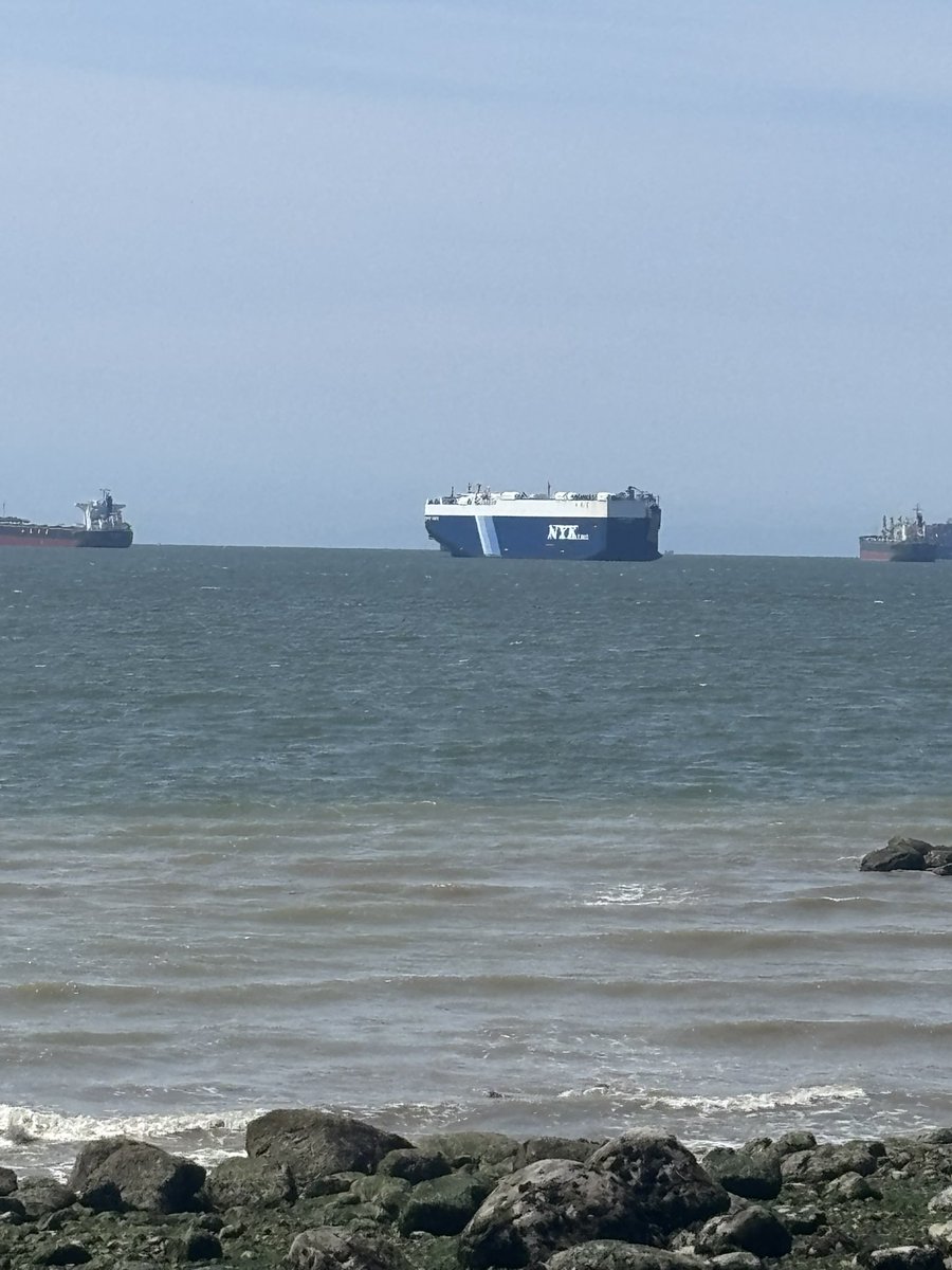 PacificSoundYVR's tweet photo. Morning from the rocks in Vancouver. That big NYK car carrier sitting pretty out there like it owns the horizon. Nothing beats this quiet port energy before the city fully wakes up. 🌊🚢 https://t.co/pjmroQu0hN
