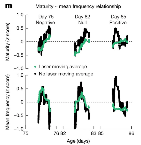 SchreinerDrew's tweet photo. A result I love that didnt make the thread: song basal ganglia isnt a simple "frequency" or "duration" knob

Suppressing sBG could ⬆️⬇️ or have no effect on an acoustic parameter depending on whether that parameter was relevant for learning. That’s exciting beyond birdsong (1/2) https://t.co/pgJgxA3fwb