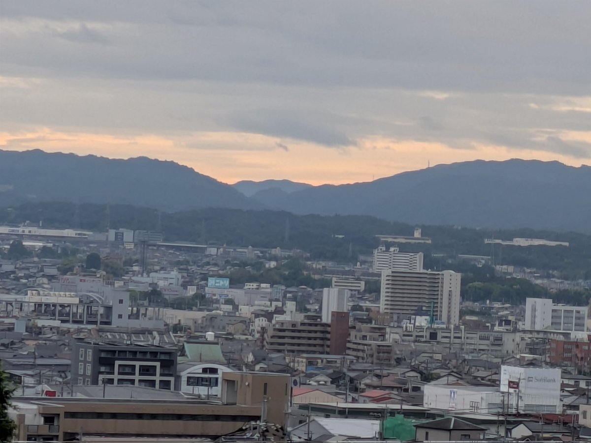 ITOYO tweet media