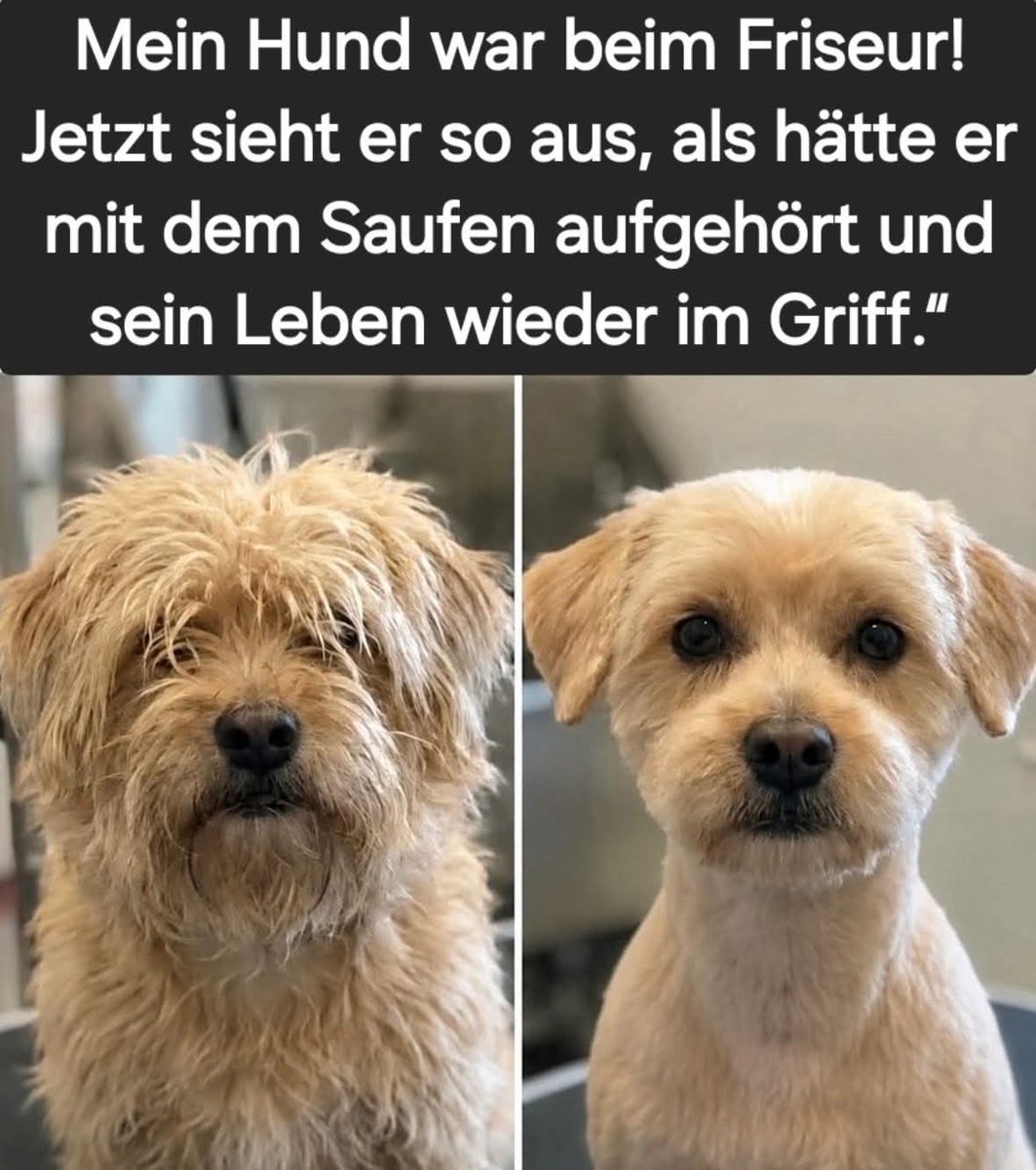 Matthias V. Diener tweet media