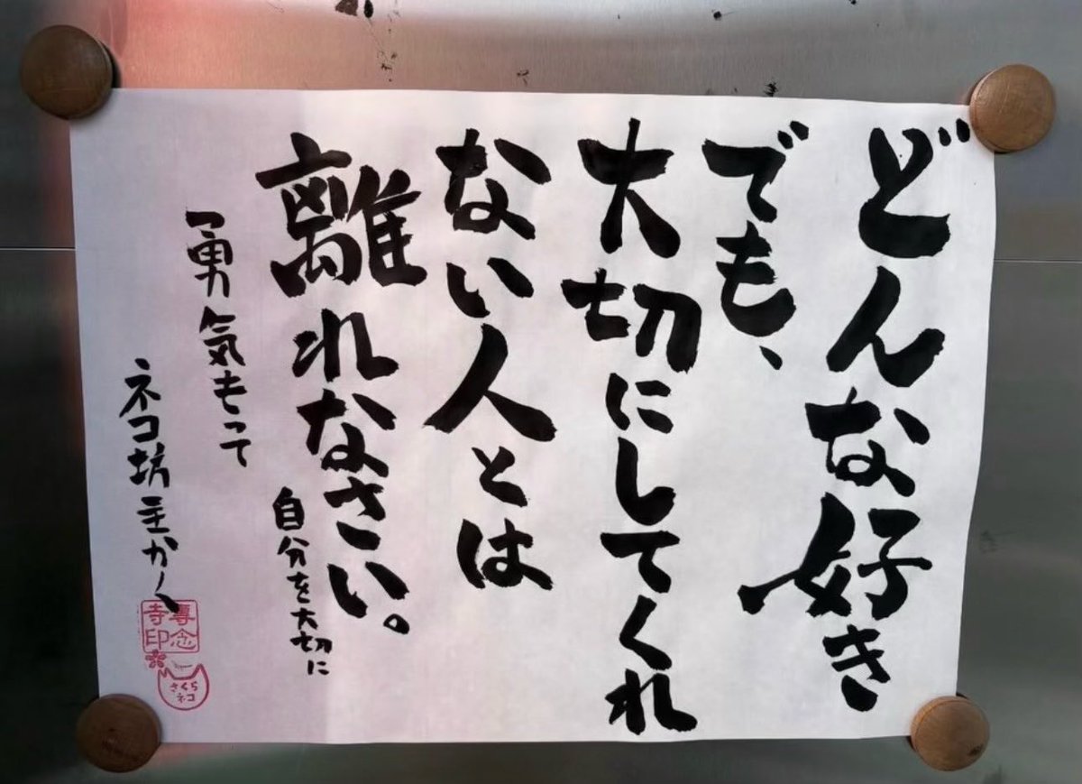 専念寺/ネコ坊主 tweet media