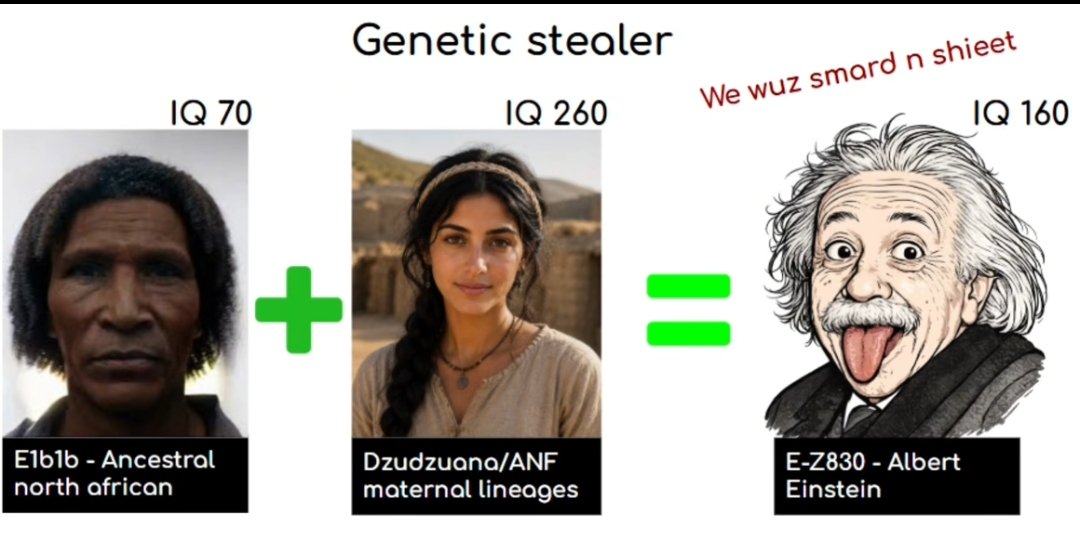 سون غوكو tweet media