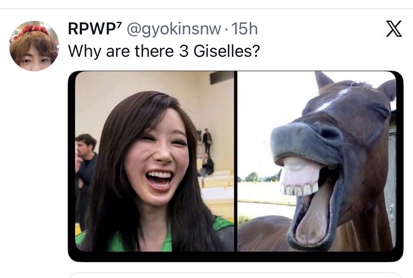 조명라 tweet media