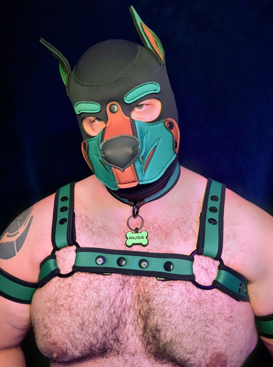 PupRuss tweet media
