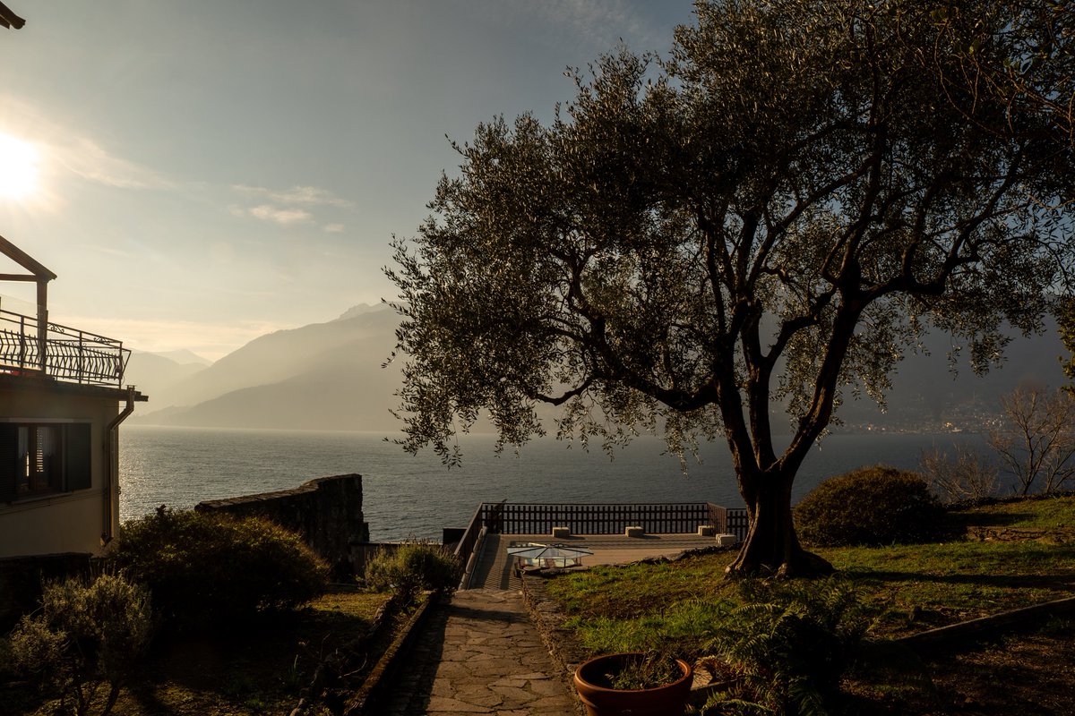 Raphael Barberi📷 tweet media