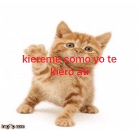helen ⛧ tweet media