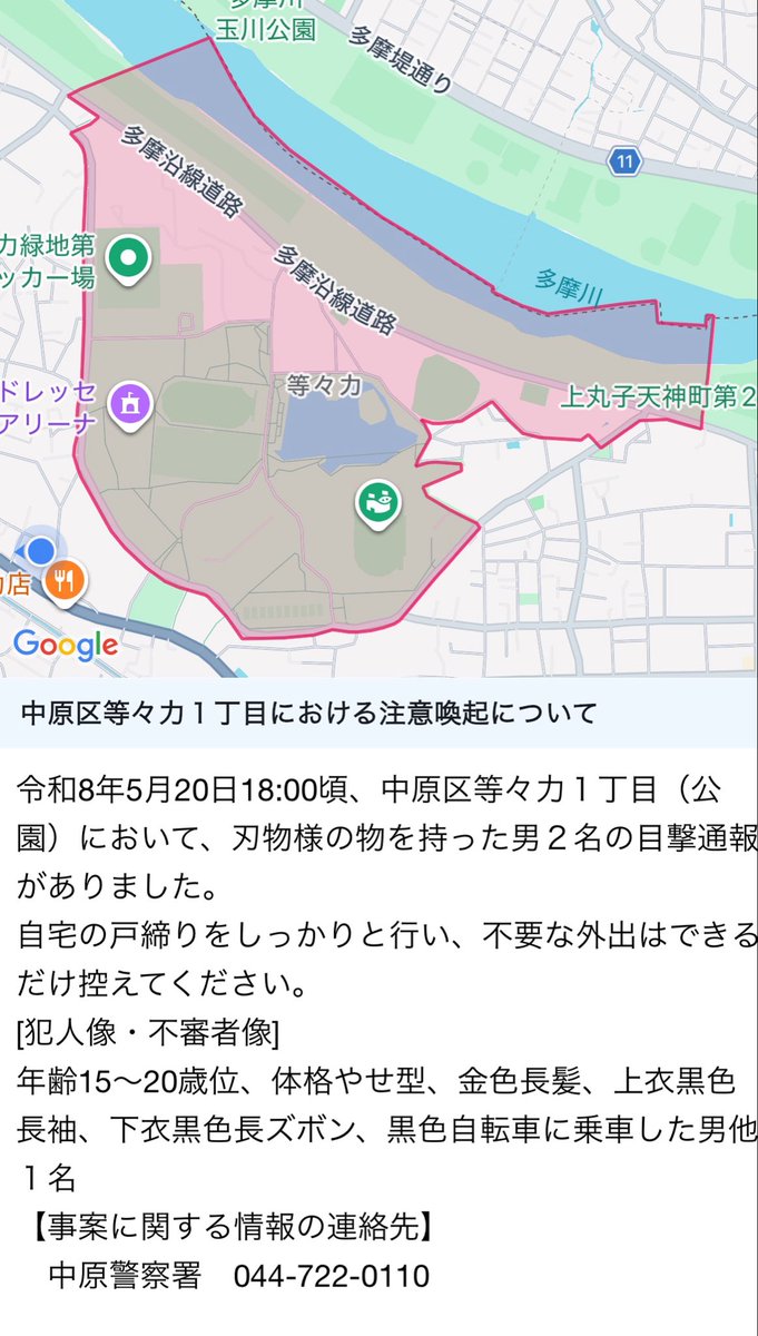 コータ🐬 tweet media