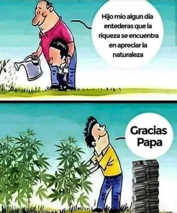 『《Decarioma》』 tweet media