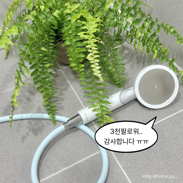 닥터피엘 tweet media