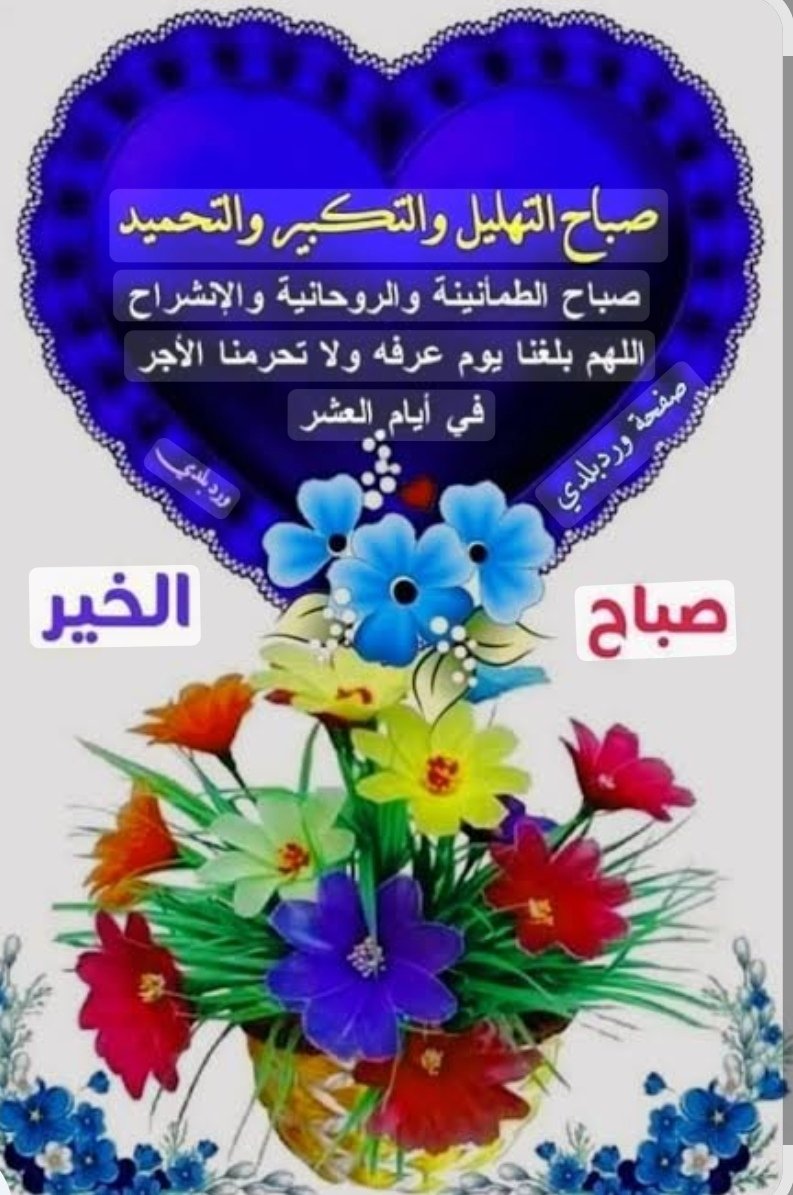 الملكي النخبوي أبومحمد tweet media