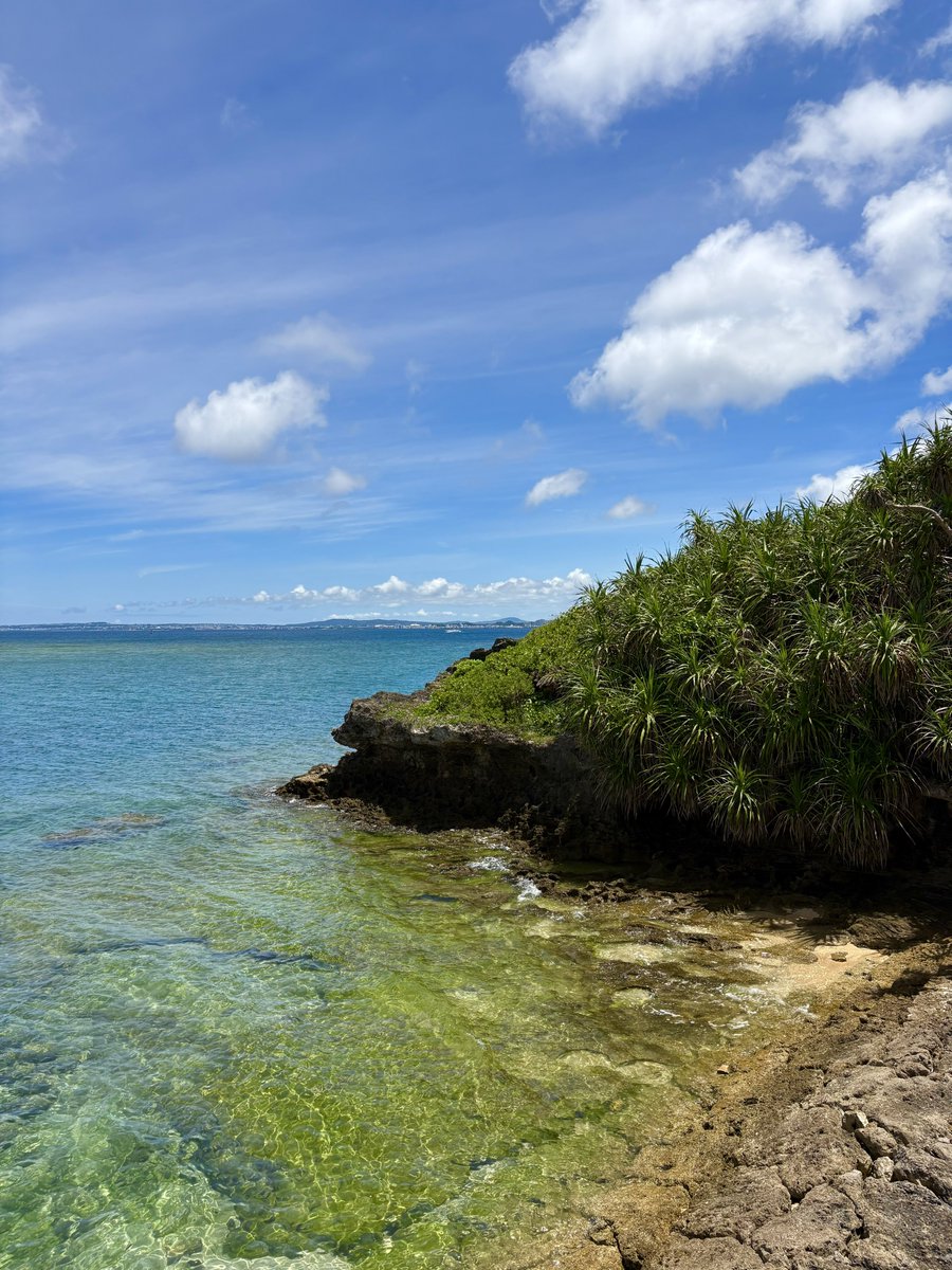 おまる🌺アラサー沖縄移住民🏖️ tweet media