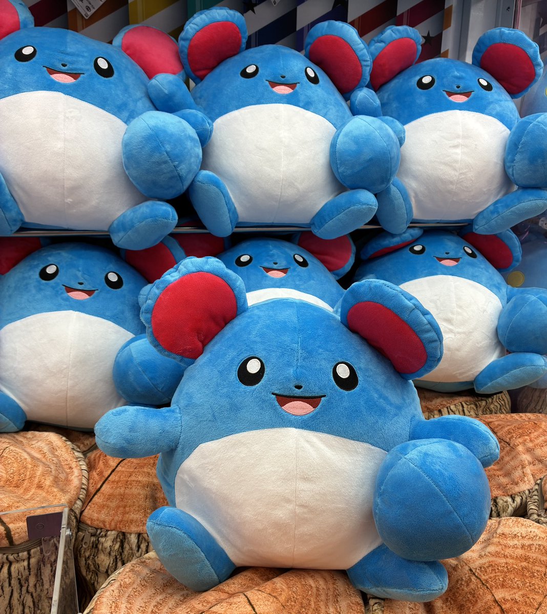 しっぽ！みてみて〜