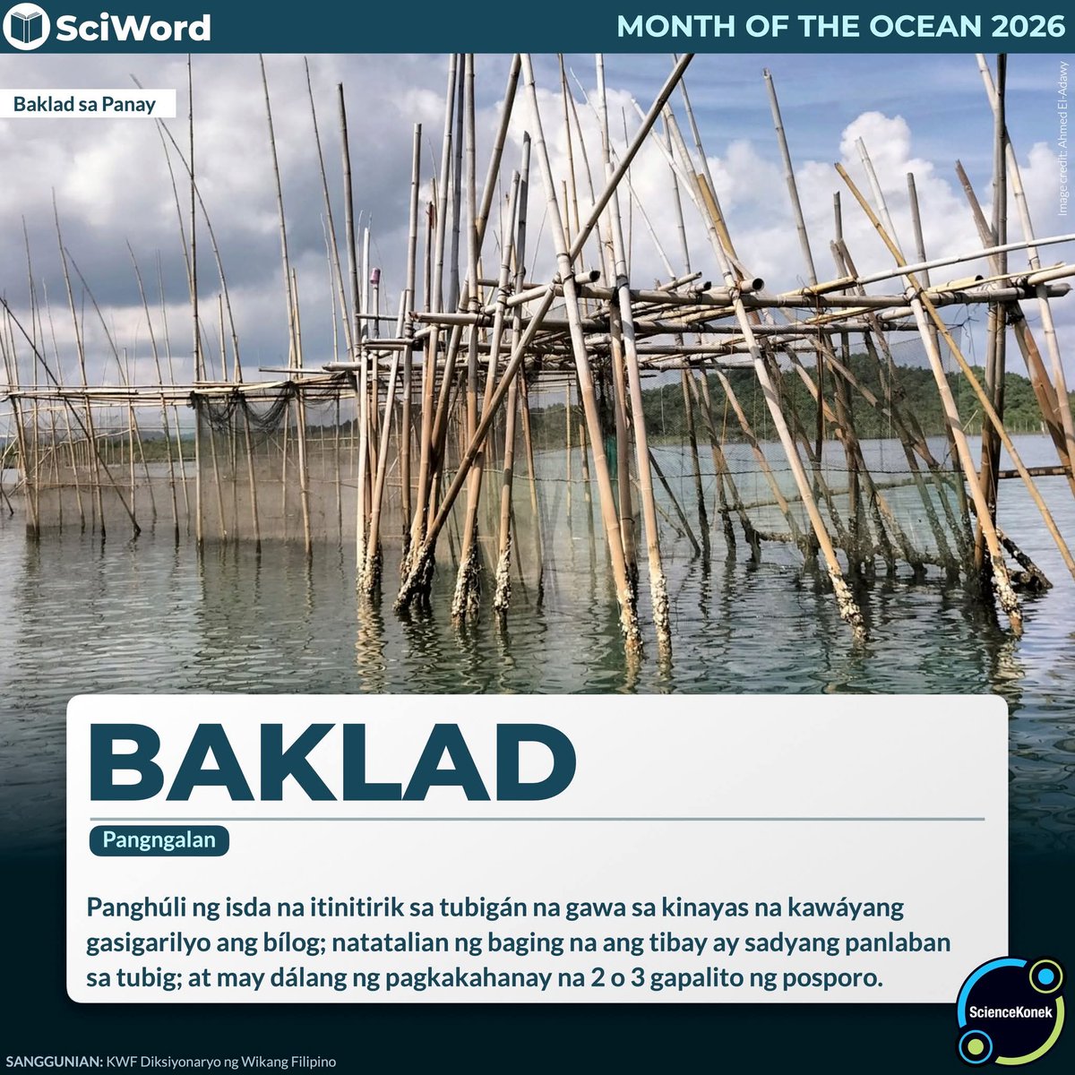 #SciWord 𝗡𝗔𝗞𝗔𝗞𝗜𝗧𝗔 𝗞𝗔 𝗡𝗔 𝗕𝗔 𝗡𝗚 𝗕𝗔𝗞𝗟𝗔𝗗? 