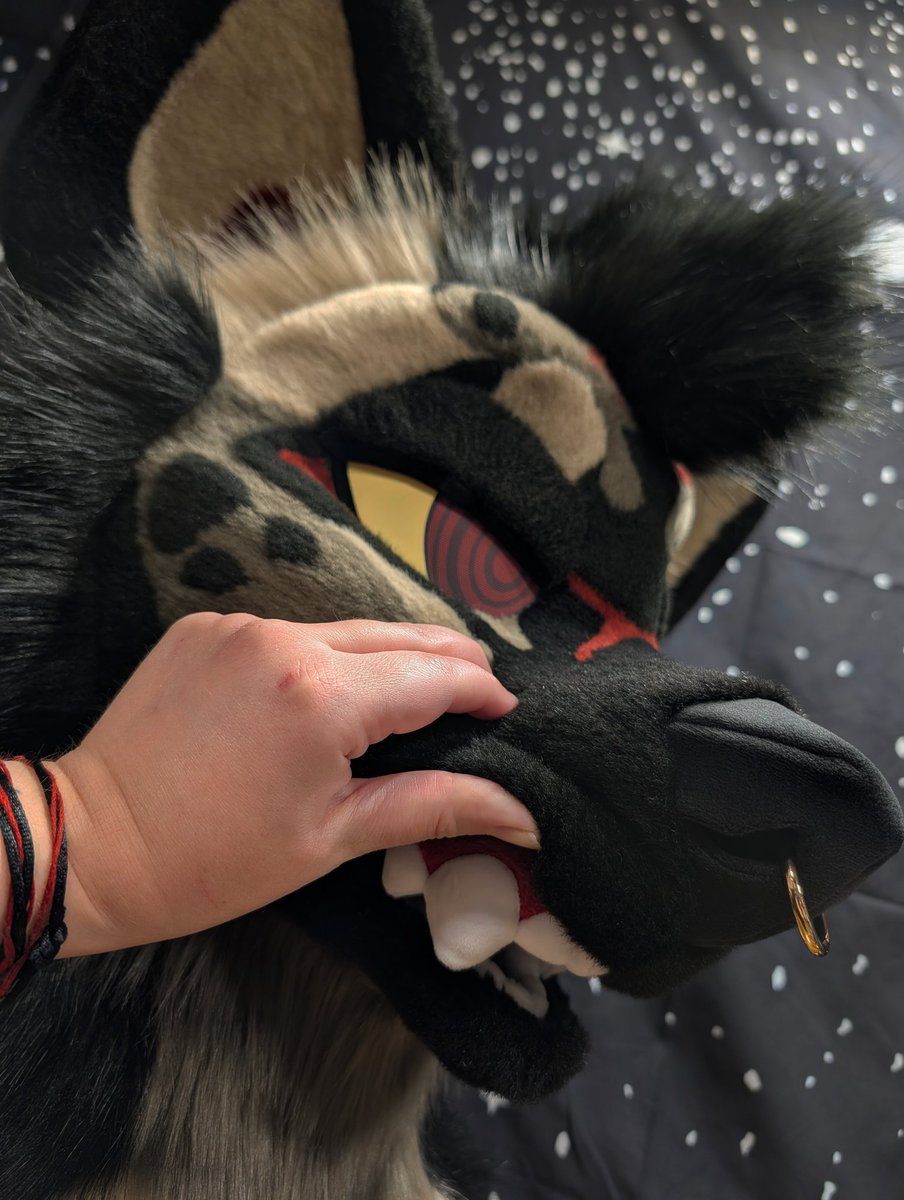 SVCfursuits's tweet photo. My, what big teeth you have. https://t.co/l8lIBiehzo