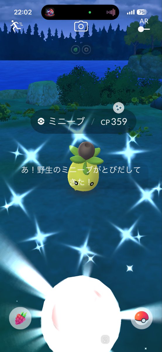 Yadirobee's tweet photo. 本日の色違いはミニーブ🫒

オリーニョとオリーヴァに進化 https://t.co/i4iISd707X