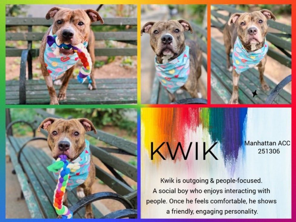 MoishesMom's tweet photo. 💞💞💞💞Kwik’s CV 💞💞💞💞 https://t.co/XI1Hh8hHHL