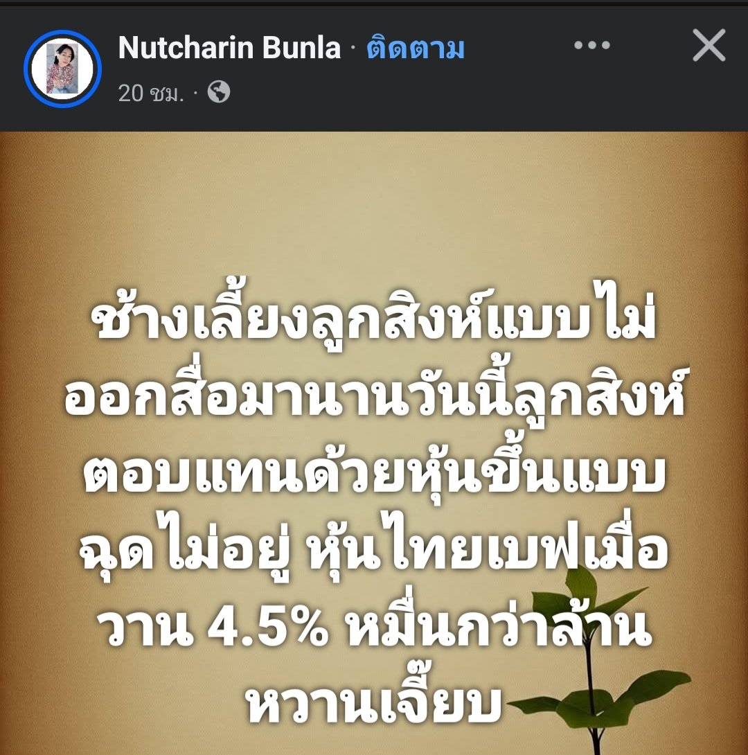 ฮ.นกฮูก(สีส้ม) tweet media